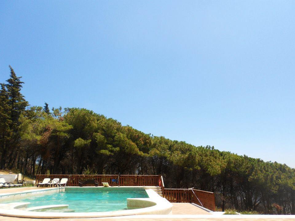 Agriturismo Collecammino Vila Lenola Exterior foto