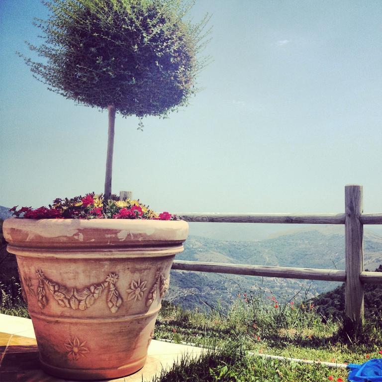 Agriturismo Collecammino Vila Lenola Exterior foto